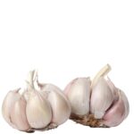 A picture of good looking Garlic