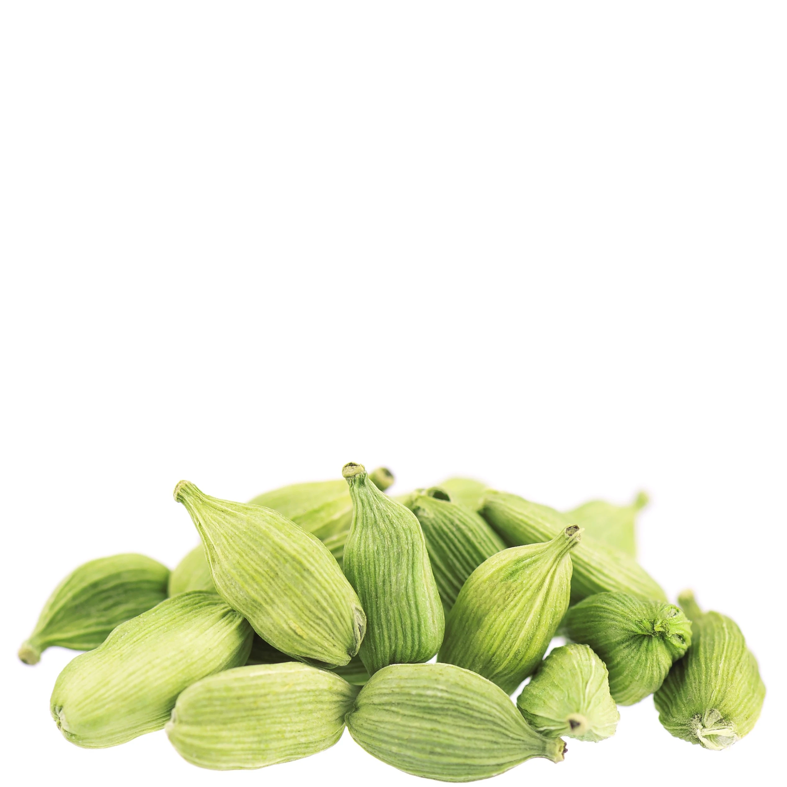 A picture of good looking Cardamon