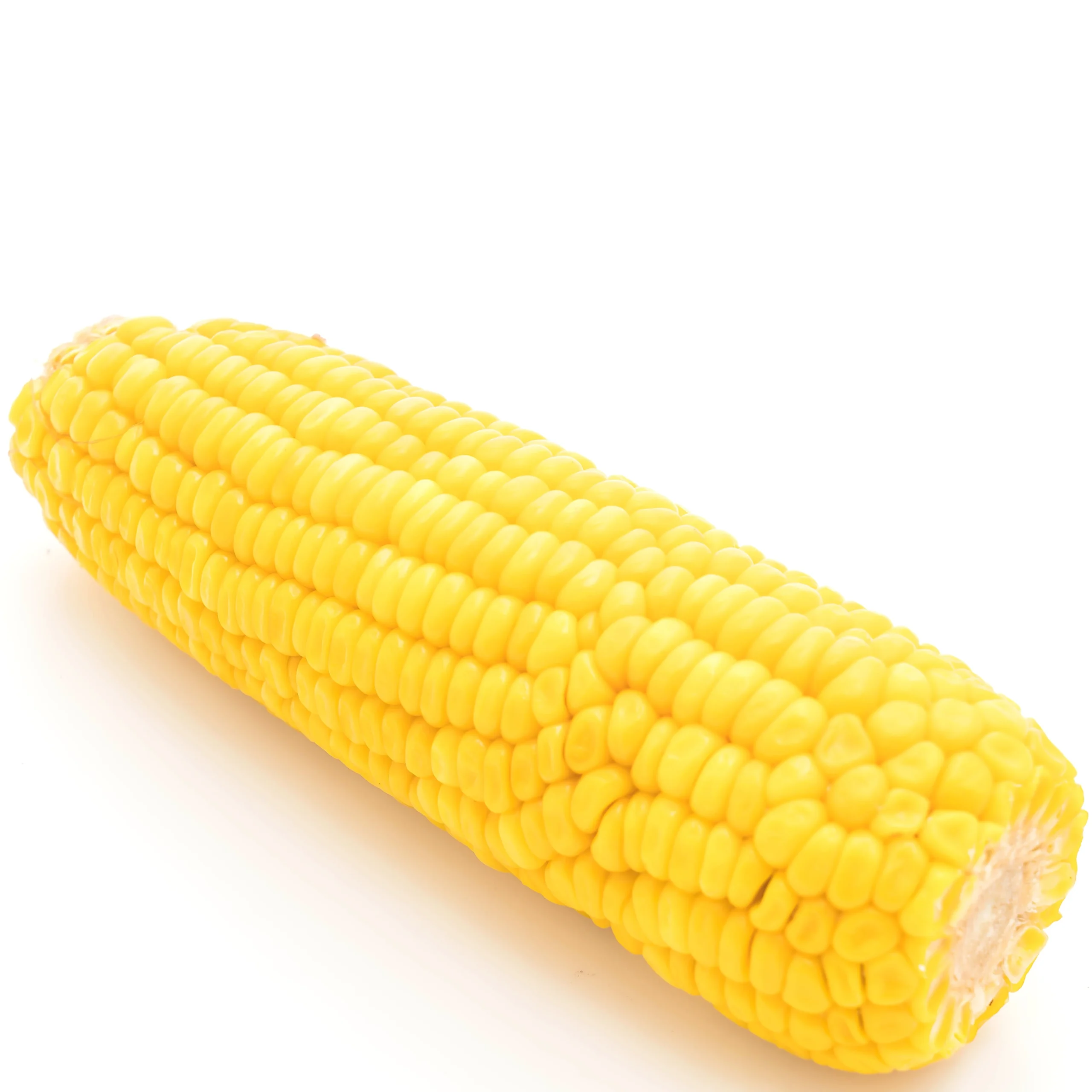 A picture of a good looking Corn