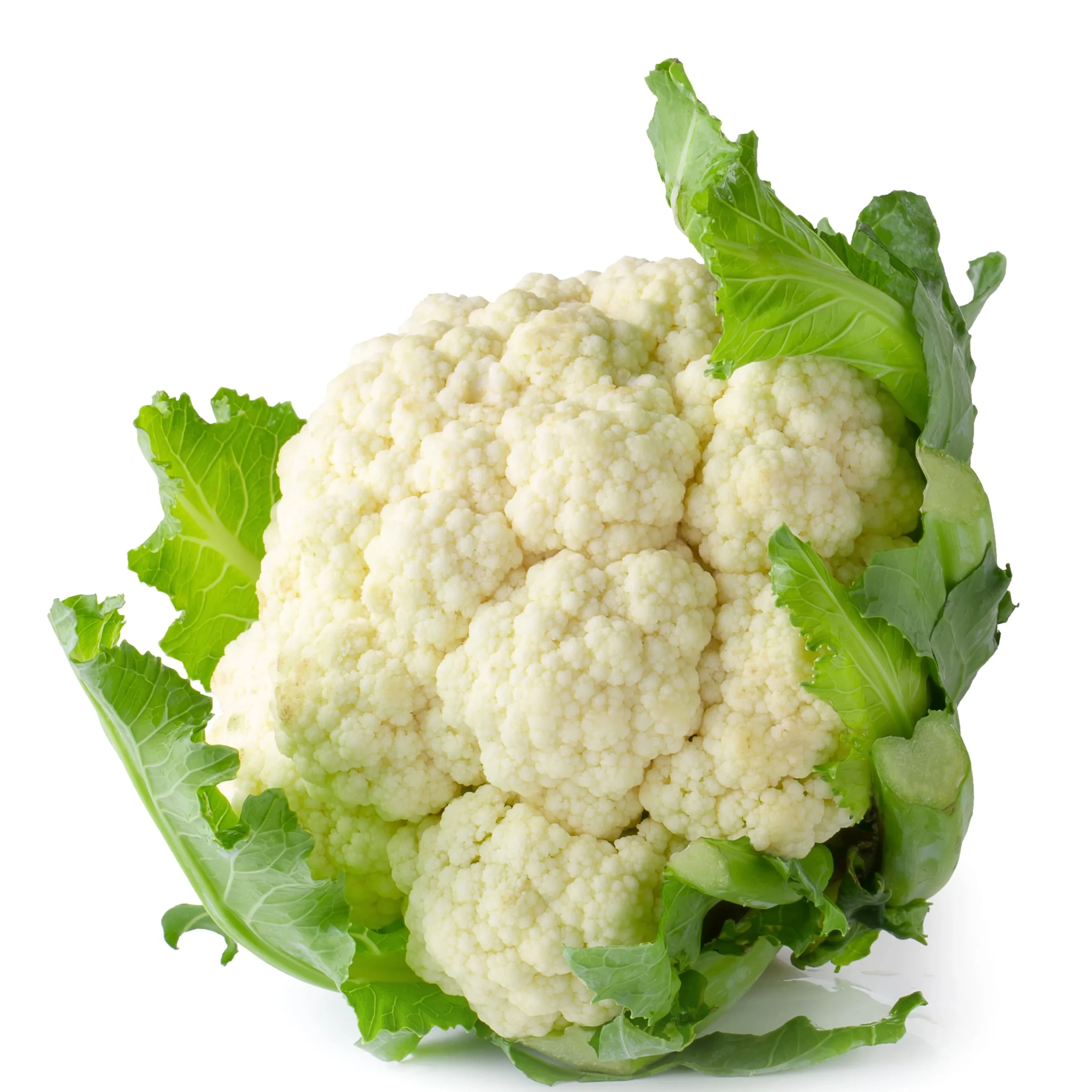 A picture of a good looking Cauliflower