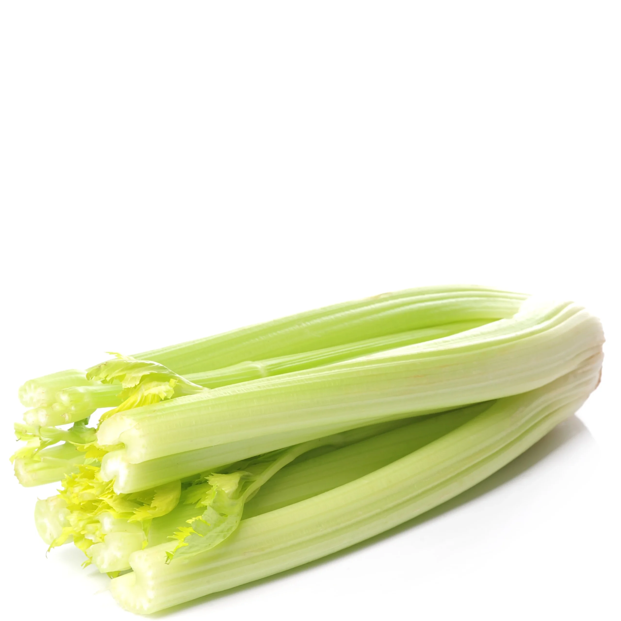 A picture of a good looking Celery