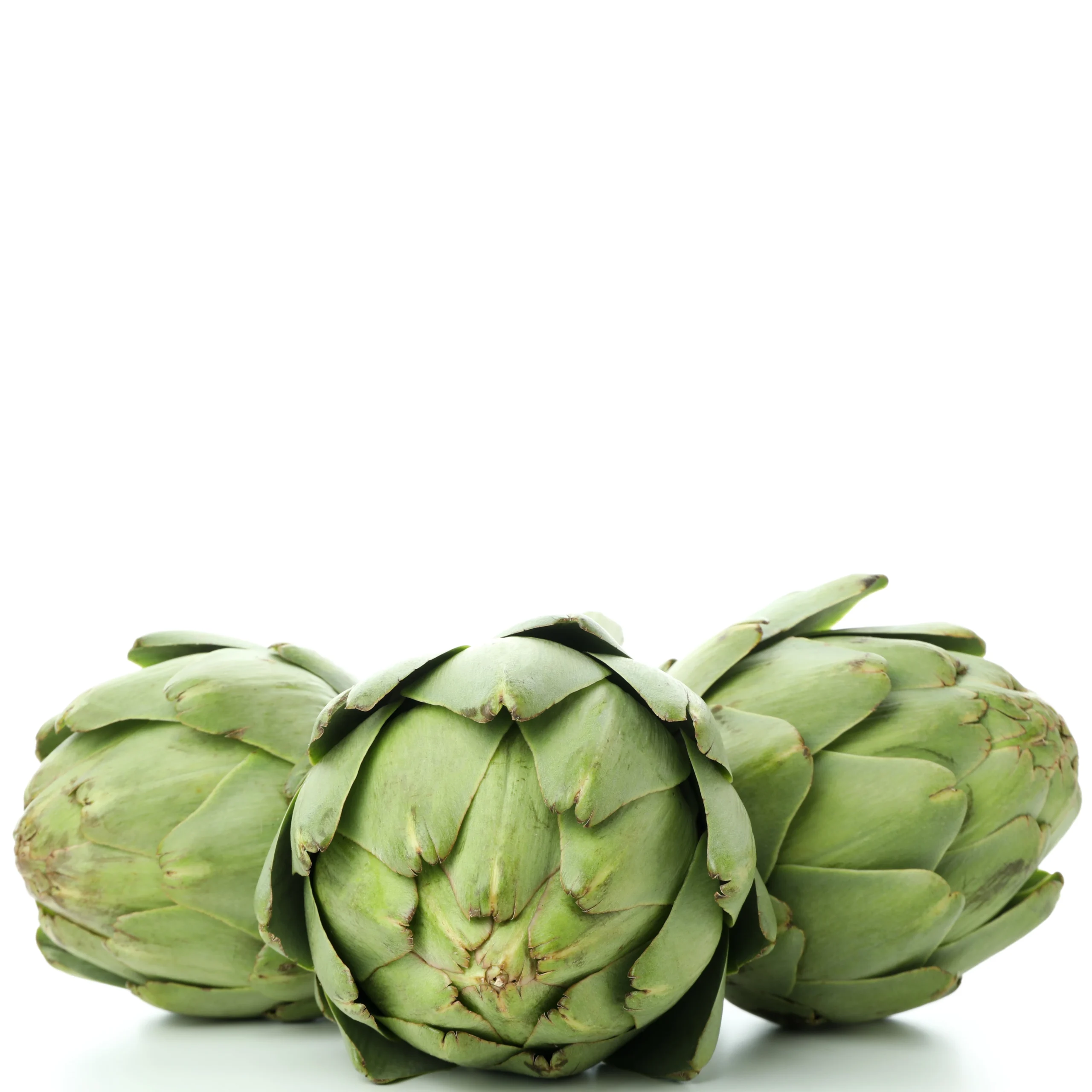 A picture of a good looking Artichoke