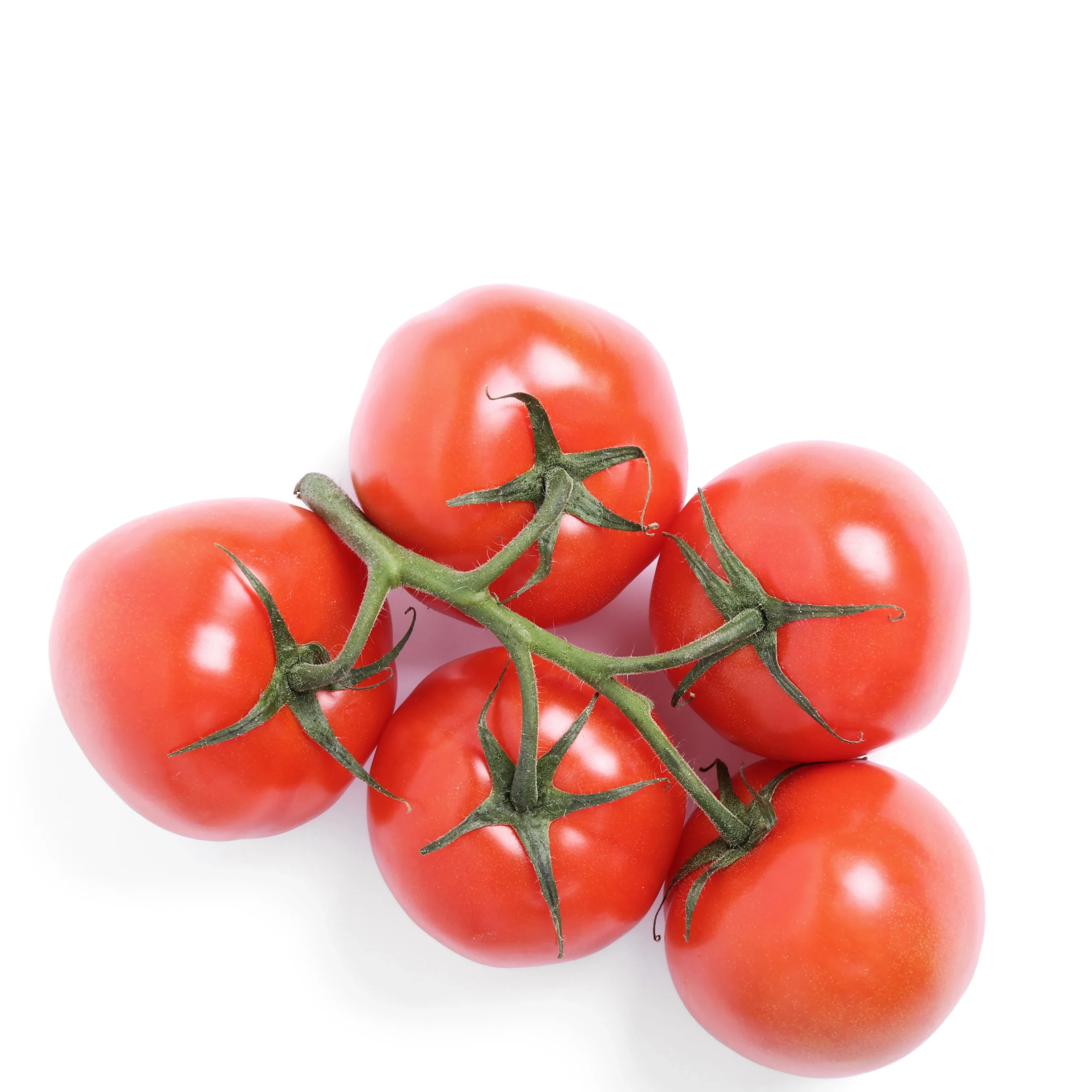 A picture of a good looking Cherry Tomato