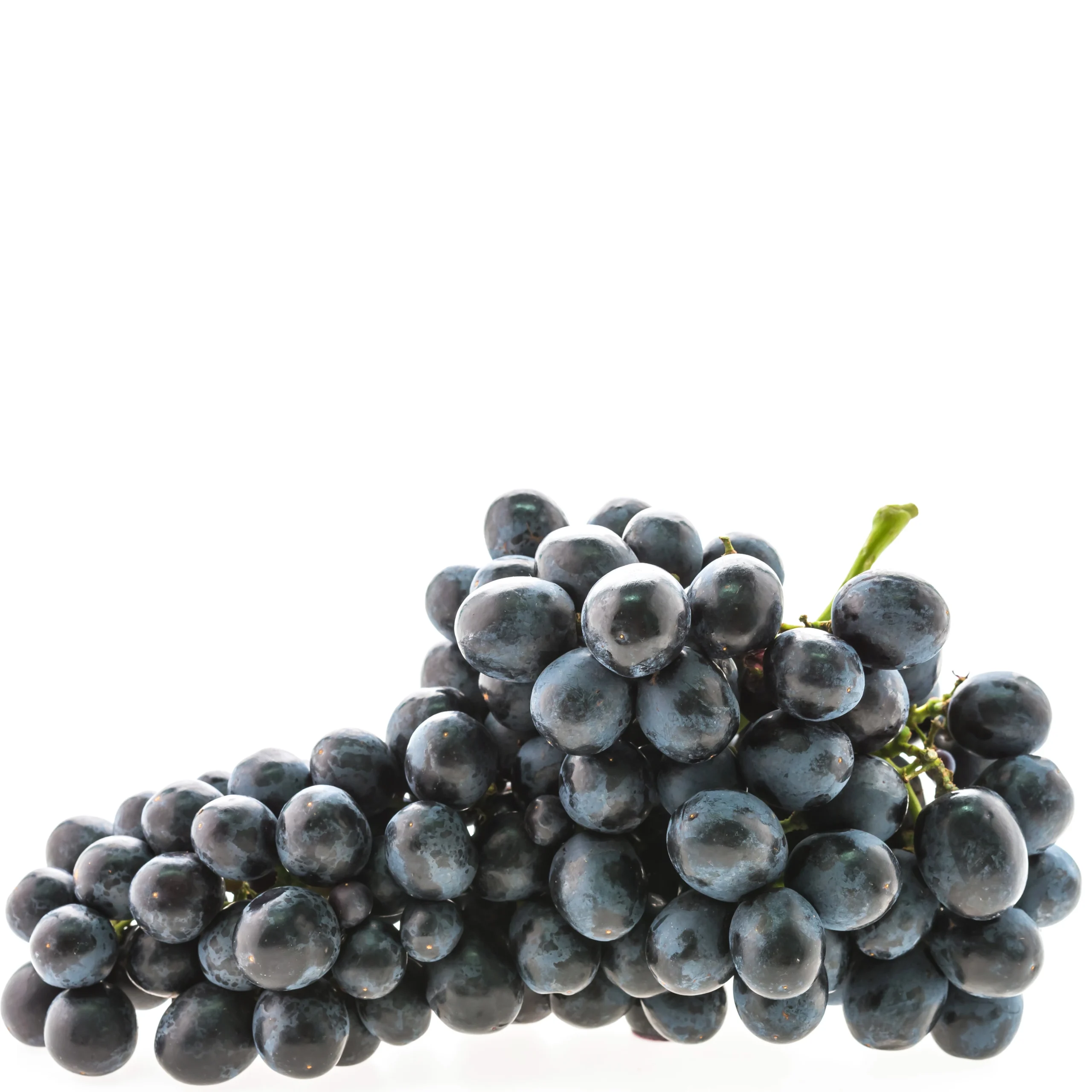 A picture of good looking Grapes