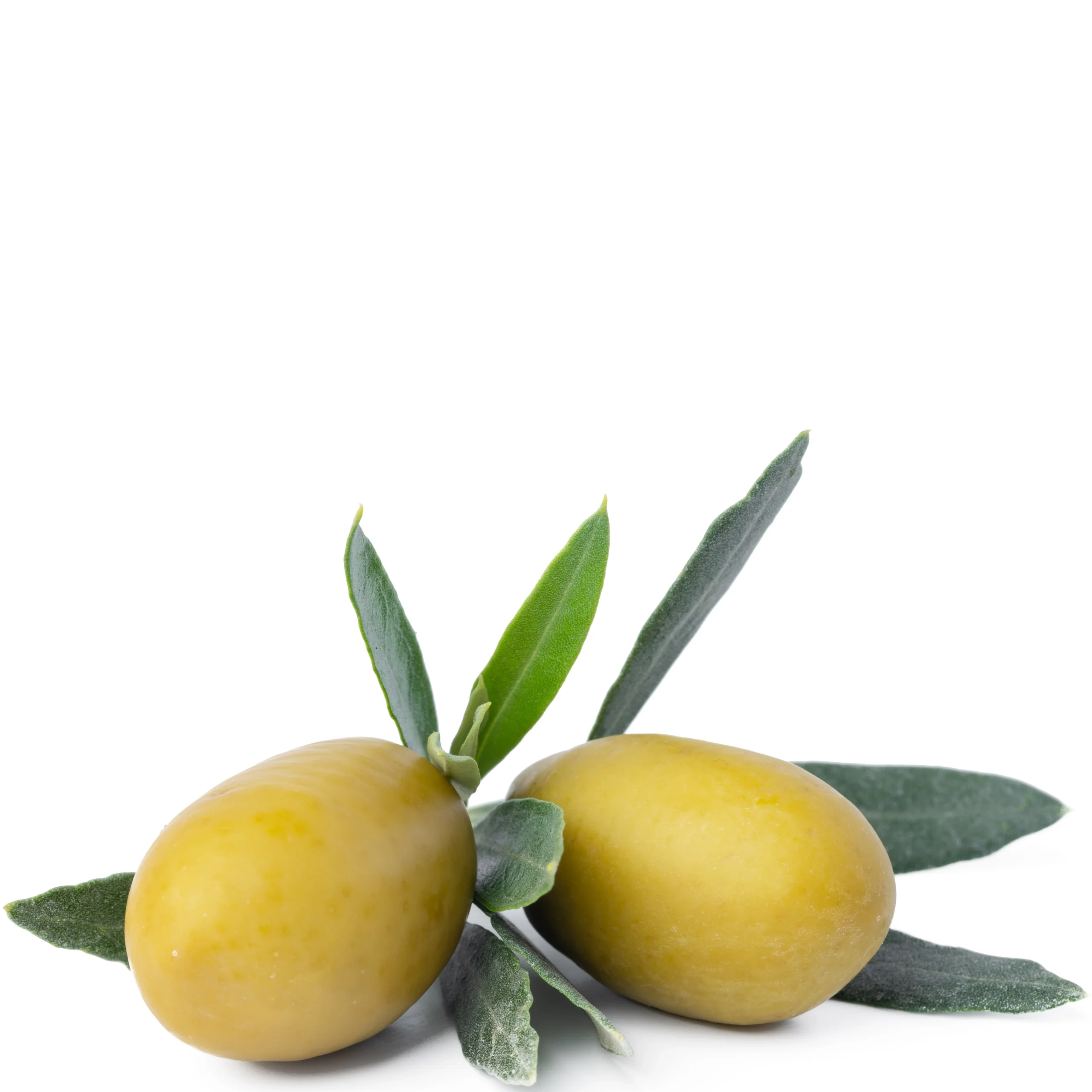 A picture of good looking Green Olives