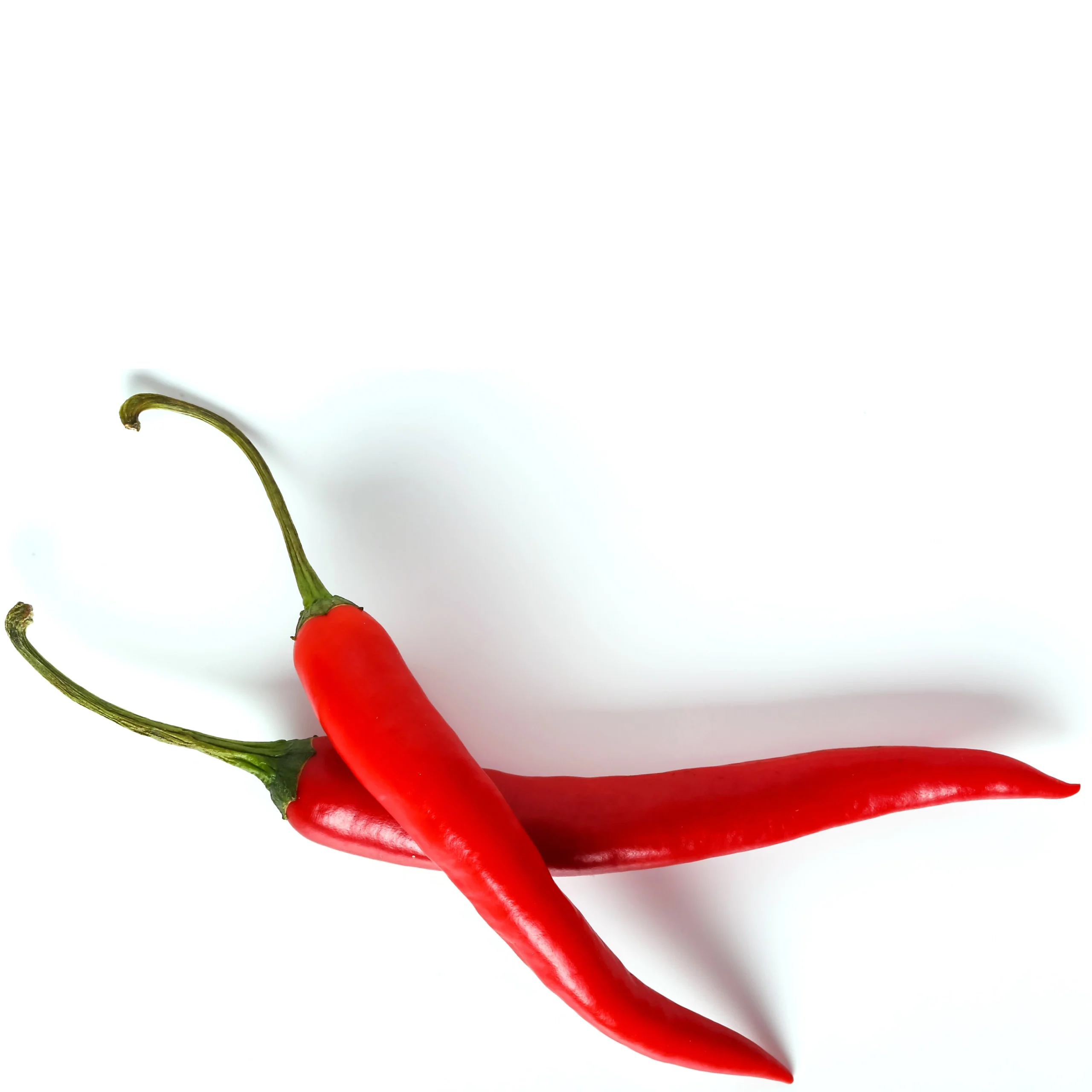 A picture of good looking Chilli Peppers