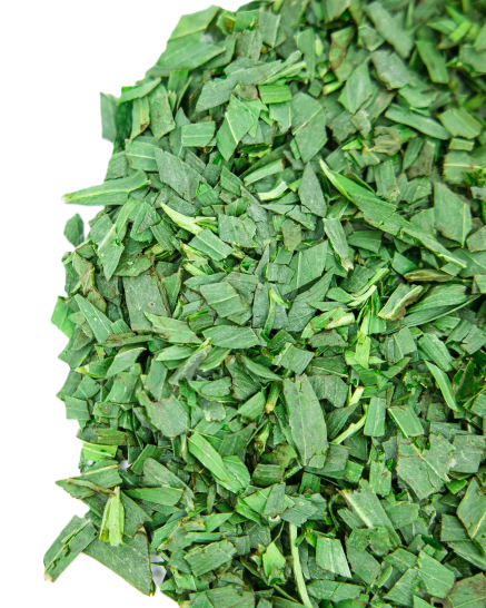 SilkSkin Serum with parsley